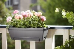 Balkonbak Elho Barcelona Allin 1 50cm - Antraciet 7 Balkonbak Elho Barcelona Allin 1 50cm - Antraciet -Tuin Buitenwinkel barcelona allin1 50cm plantenbak antraciet 7 18