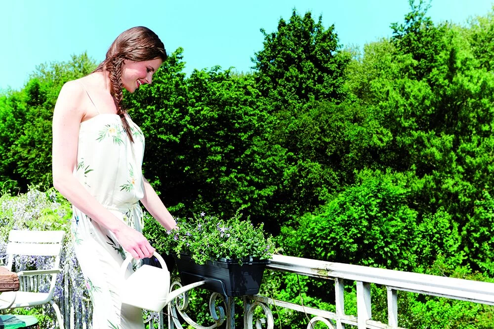 Balkonbak Elho Green Basics Allin1 50cm - Bladgroen 2 Balkonbak Elho Green Basics Allin1 50cm - Bladgroen - Afbeelding 2