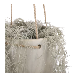 Hangpot Resa - D18,5 X H17cm - Lichtgrijs -Tuin Buitenwinkel hangpot resa d18 5 x h17cm lichtgrijs hangpot 3 1