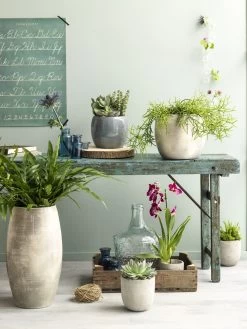 Bloempot Lester - D20 X H18cm - Lichtgrijs 5 Bloempot Lester - D20 X H18cm - Lichtgrijs -Tuin Buitenwinkel lester pot rond lgrijs h18xd20cm bloempot 7 12