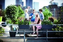 Balkonbak Elho Loft Urban 50cm - Antraciet 5 Balkonbak Elho Loft Urban 50cm - Antraciet -Tuin Buitenwinkel loft urban balkonbak 50 plantenbak antraciet 6 13