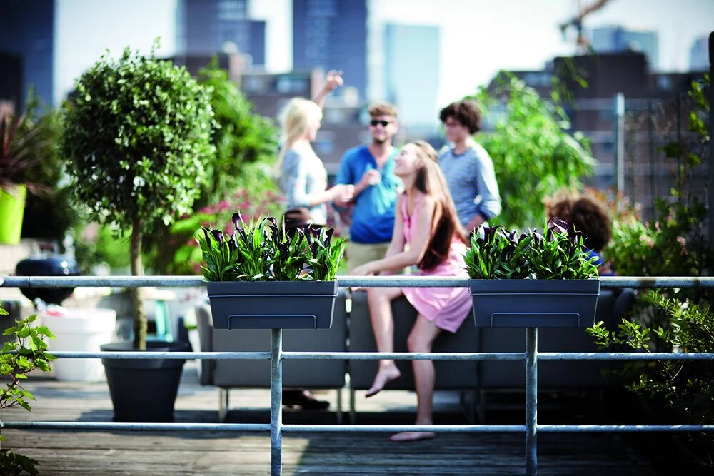 Balkonbak Elho Loft Urban 50cm - Antraciet 3 Balkonbak Elho Loft Urban 50cm - Antraciet - Afbeelding 3