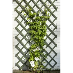 Nature - Houten Klimrek Groen 100x200cm 5 Nature - Houten Klimrek Groen 100x200cm -Tuin Buitenwinkel nature houten klimrek groen 100x200cm 3 2