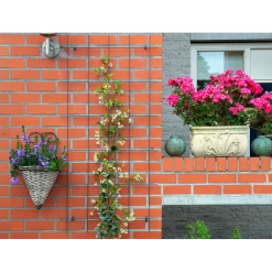 Nature - Metalen Klimrek Geplastificeerd Grijs H145x72,5cm -Tuin Buitenwinkel nature metalen klimrek geplastificeerd grijs h145x72 5cm 3 2