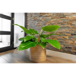 Tuin Buitenwinkel -Tuin Buitenwinkel plantenmand stef d38 x h38cm naturel plantenmand 2