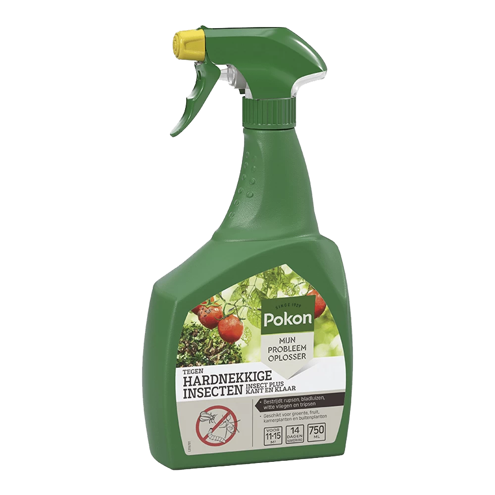 Pokon Tegen Hardnekkige Insecten Insect-Plus Kant En Klaar Spray 750ml - Insecten En Ongedierte 1 Pokon Tegen Hardnekkige Insecten Insect-Plus Kant En Klaar Spray 750ml - Insecten En Ongedierte