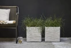 Capi Plantenbak Vierkant Nature Rib NL - L40 X B40 X H40cm - Ivoor 5 Capi Plantenbak Vierkant Nature Rib NL - L40 X B40 X H40cm - Ivoor -Tuin Buitenwinkel pot vierkant rib nl 40x40x40 ivoor plantenbak 7 8
