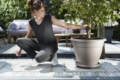 Plantentaxi Elho Universeel 30cm - Antraciet 5 Plantentaxi Elho Universeel 30cm - Antraciet -Tuin Buitenwinkel universele planttaxi 30cm schotel antraciet 6 11