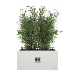 Elho Vivo Next Lang Wielen 60cm - Wit 11 Elho Vivo Next Lang Wielen 60cm - Wit -Tuin Buitenwinkel vivo next lang wielen 60cm wit 5 1