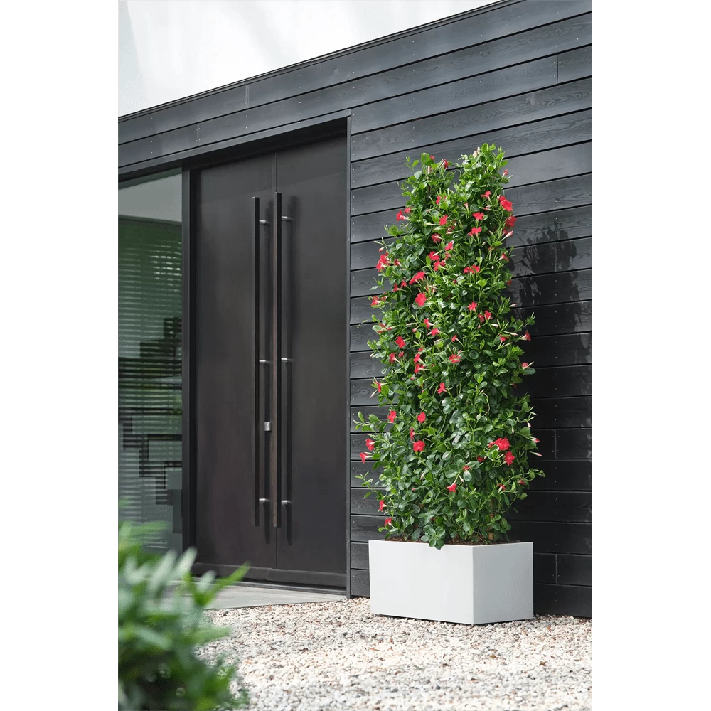 Elho Vivo Next Lang Wielen 60cm - Wit 6 Elho Vivo Next Lang Wielen 60cm - Wit - Afbeelding 6