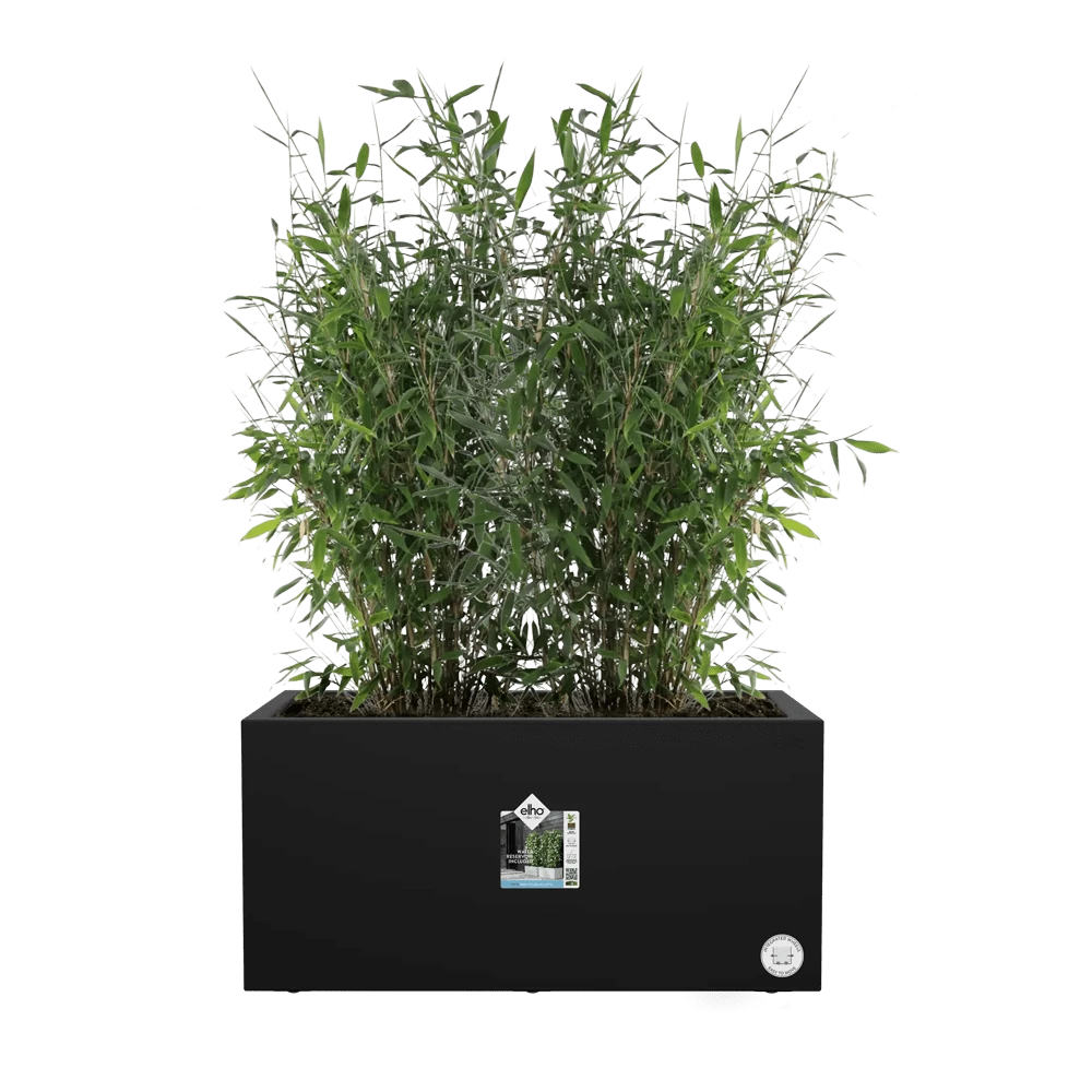 Elho Vivo Next Lang Wielen 80cm - Living Black 5 Elho Vivo Next Lang Wielen 80cm - Living Black - Afbeelding 5