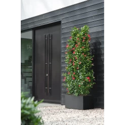 Elho Vivo Next Lang Wielen 80cm - Living Black 12 Elho Vivo Next Lang Wielen 80cm - Living Black -Tuin Buitenwinkel vivo next lang wielen 80cm living black 6 1