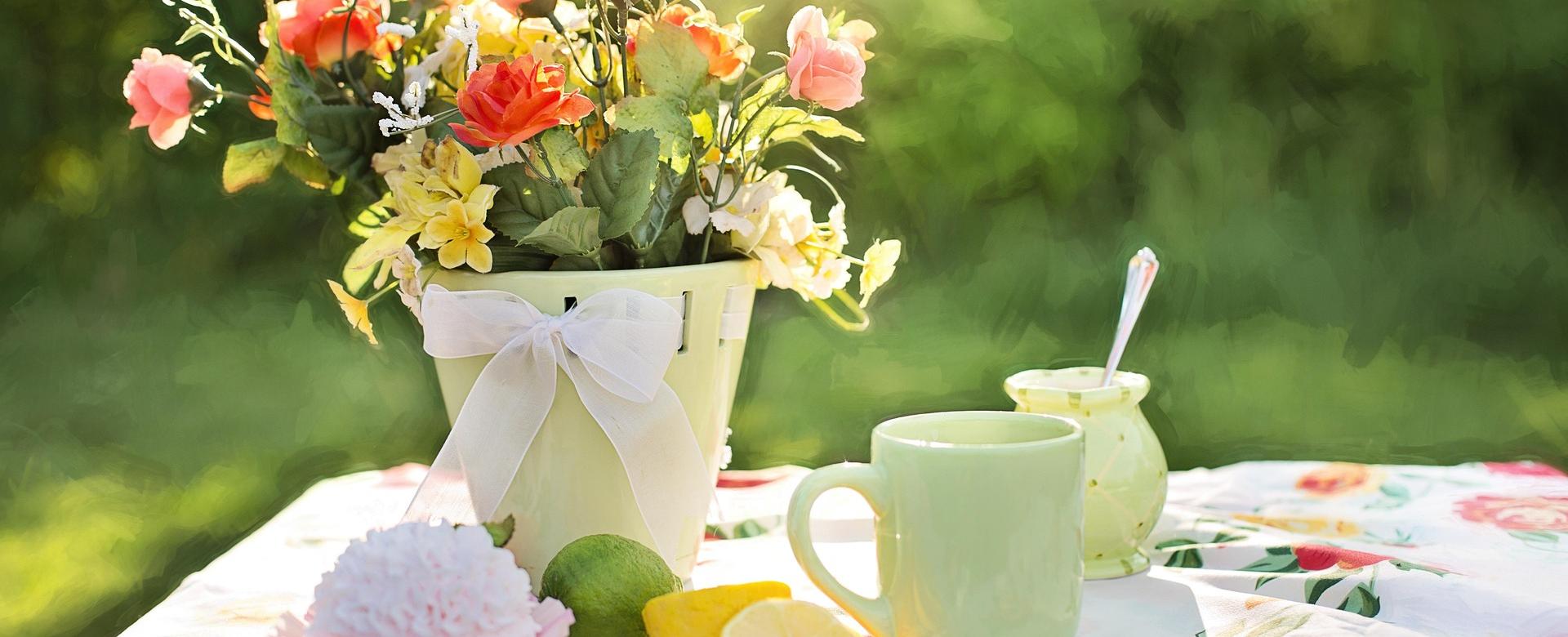 Tuin Buitenwinkel -Tuin Buitenwinkel summer 783347 1920